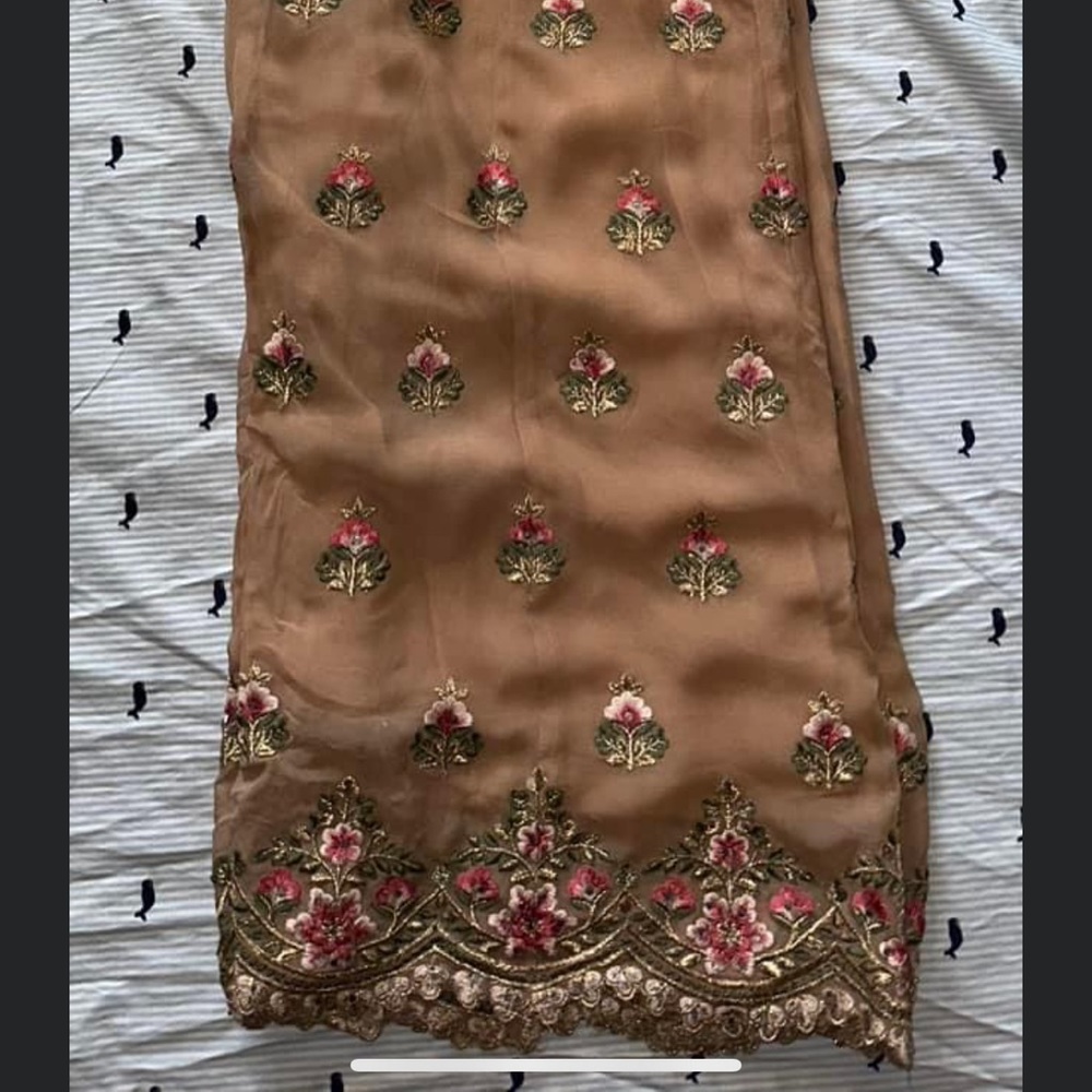 Nude rose gold Punjabi palazzo salwar suit - Picture 5 of 5